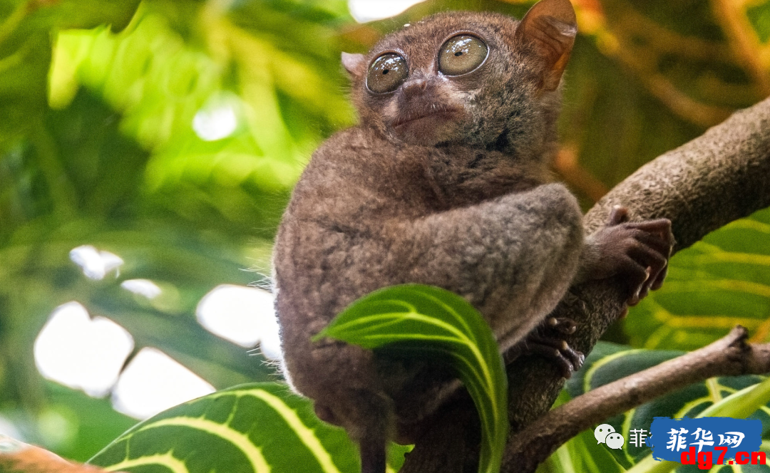 25.png