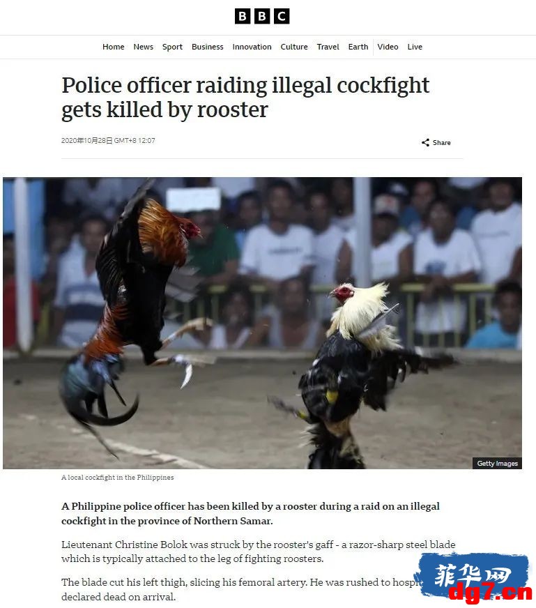 1.jpeg