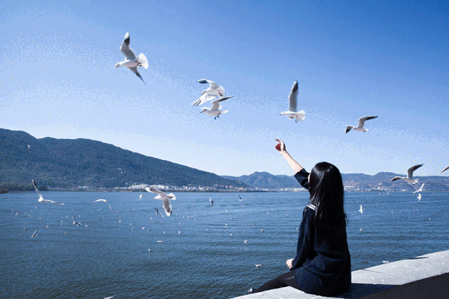 4.gif