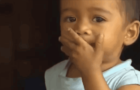 11.gif