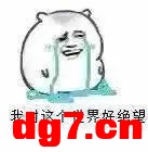 11.jpeg