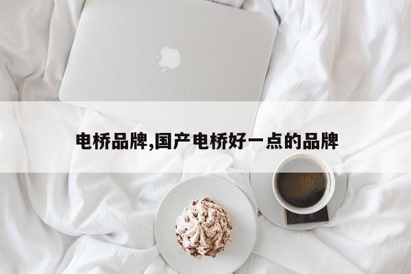 电桥品牌,国产电桥好一点的品牌