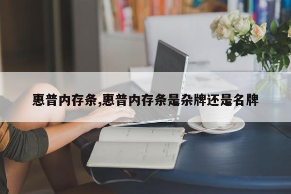 惠普内存条,惠普内存条是杂牌还是名牌
