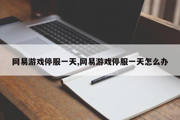 网易游戏停服一天,网易游戏停服一天怎么办