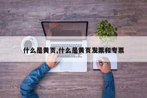 什么是黄页,什么是黄页发票和专票