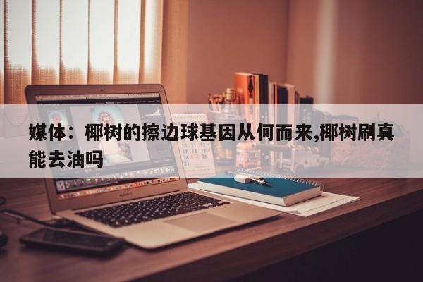 媒体：椰树的擦边球基因从何而来,椰树刷真能去油吗