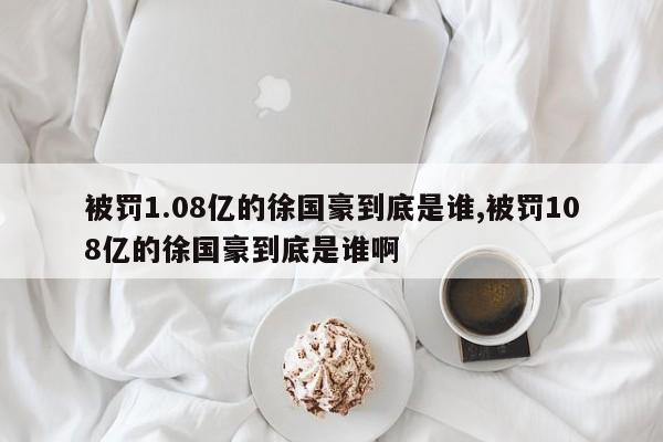 被罚1.08亿的徐国豪到底是谁,被罚108亿的徐国豪到底是谁啊