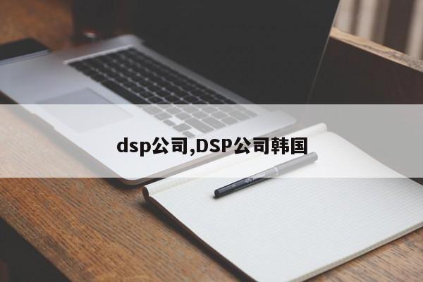 dsp公司,DSP公司韩国