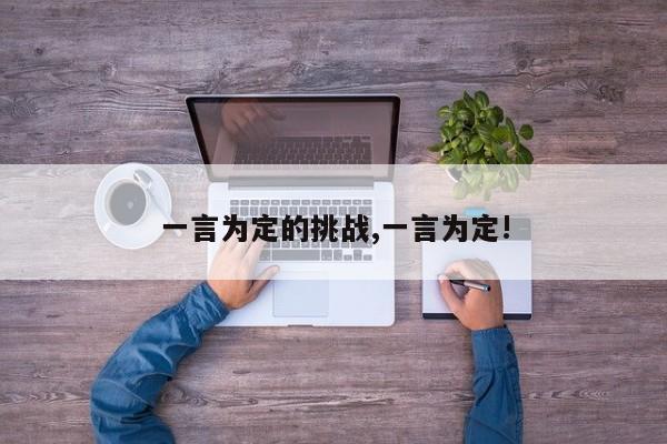 一言为定的挑战,一言为定!