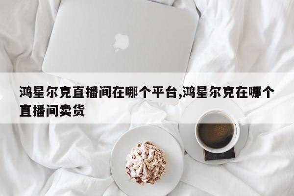 鸿星尔克直播间在哪个平台,鸿星尔克在哪个直播间卖货