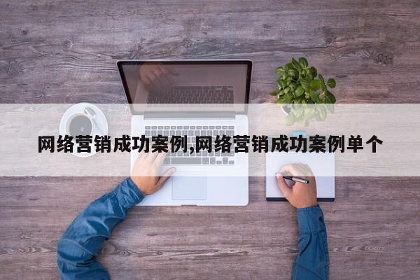 网络营销成功案例,网络营销成功案例单个