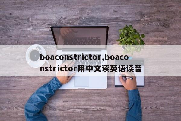 boaconstrictor,boaconstrictor用中文读英语读音