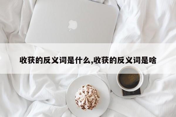 收获的反义词是什么,收获的反义词是啥