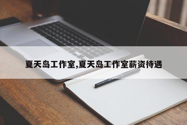 夏天岛工作室,夏天岛工作室薪资待遇