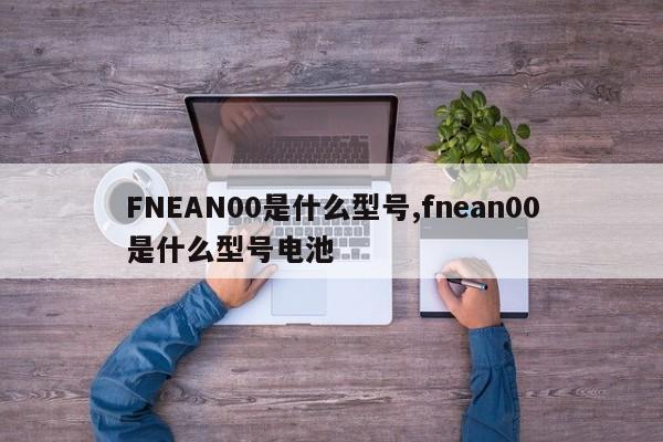 FNEAN00是什么型号,fnean00是什么型号电池