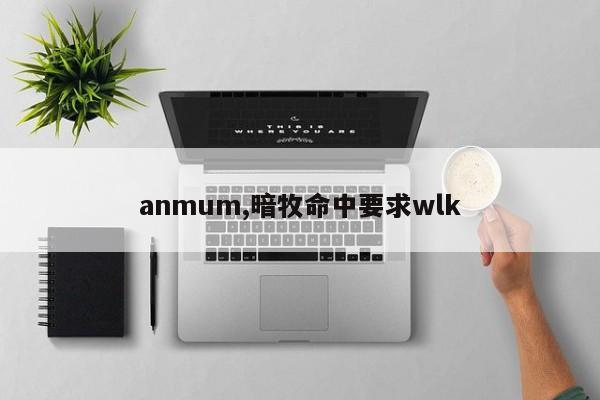 anmum,暗牧命中要求wlk