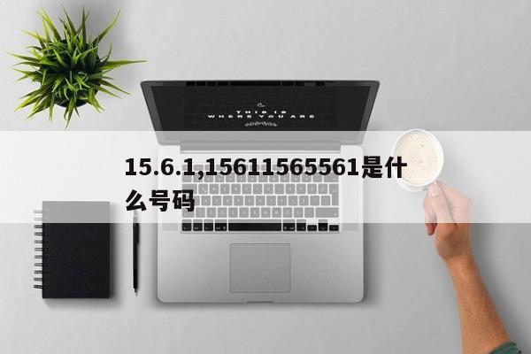 15.6.1,15611565561是什么号码