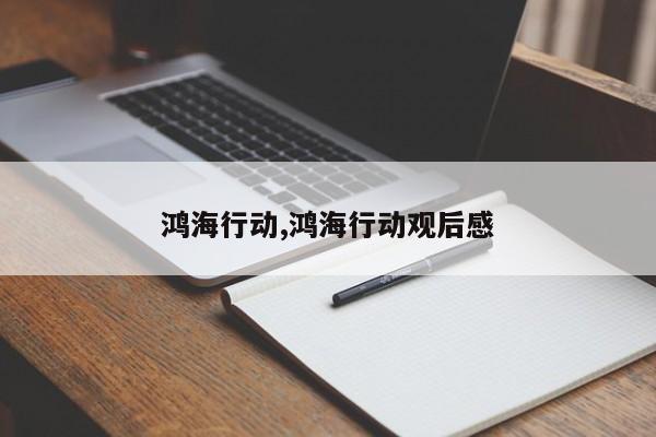 鸿海行动,鸿海行动观后感