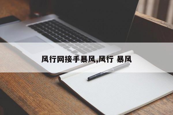 风行网接手暴风,风行 暴风