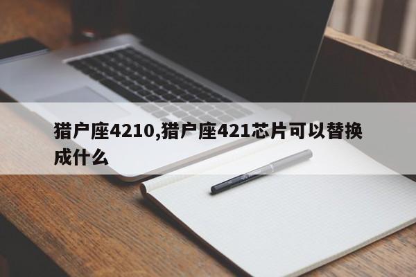 猎户座4210,猎户座421芯片可以替换成什么