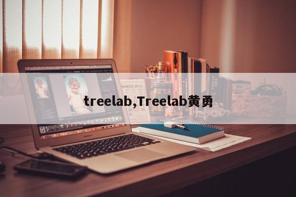 treelab,Treelab黄勇