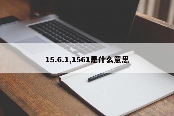 15.6.1,1561是什么意思