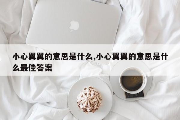 小心翼翼的意思是什么,小心翼翼的意思是什么最佳答案