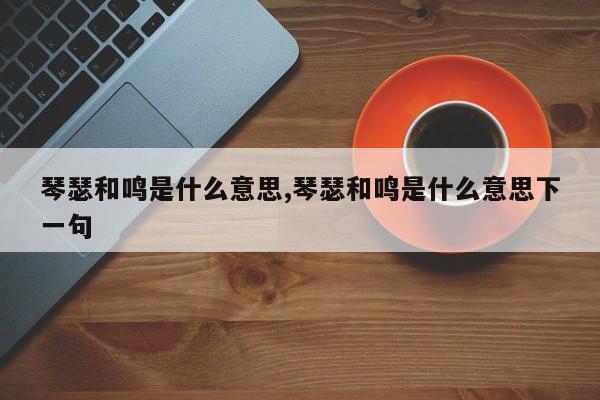 琴瑟和鸣是什么意思,琴瑟和鸣是什么意思下一句