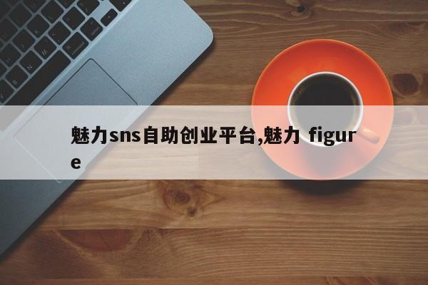 魅力sns自助创业平台,魅力 figure