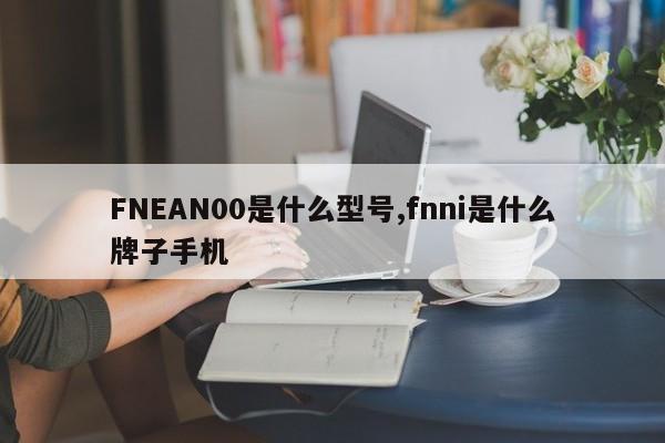 FNEAN00是什么型号,fnni是什么牌子手机
