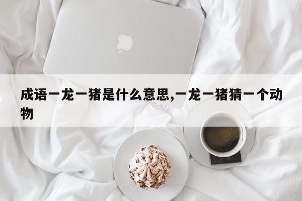 成语一龙一猪是什么意思,一龙一猪猜一个动物