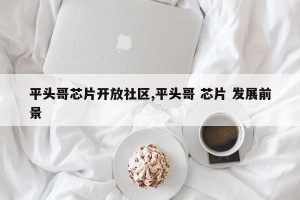 平头哥芯片开放社区,平头哥 芯片 发展前景