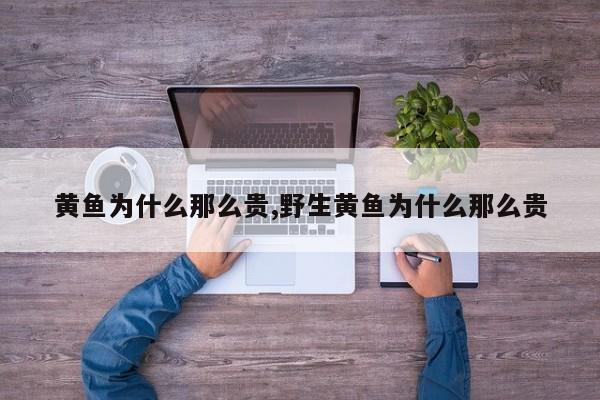 黄鱼为什么那么贵,野生黄鱼为什么那么贵