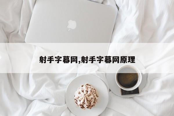 射手字幕网,射手字幕网原理