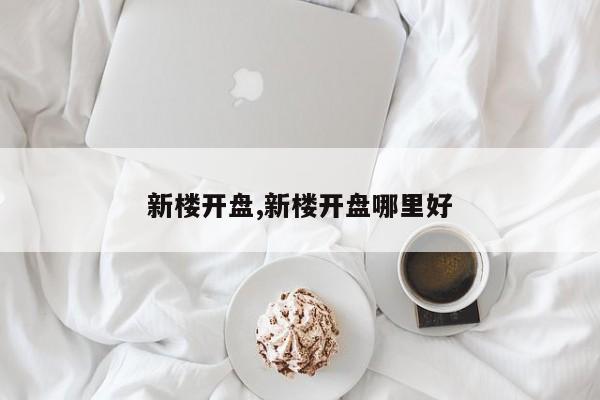 新楼开盘,新楼开盘哪里好