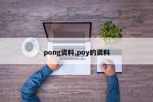 pong资料,poy的资料