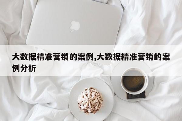 大数据精准营销的案例,大数据精准营销的案例分析