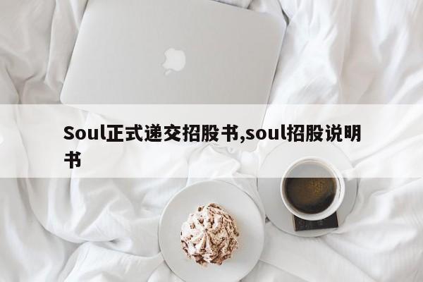 Soul正式递交招股书,soul招股说明书