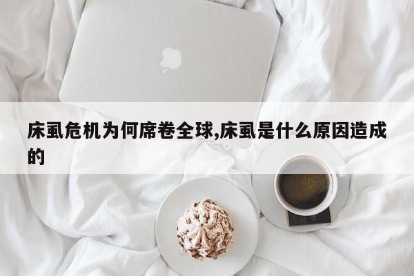 床虱危机为何席卷全球,床虱是什么原因造成的