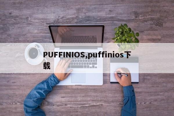 PUFFINIOS,puffinios下载