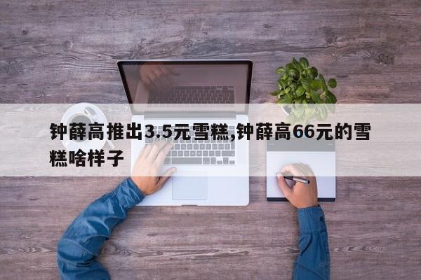钟薛高推出3.5元雪糕,钟薛高66元的雪糕啥样子
