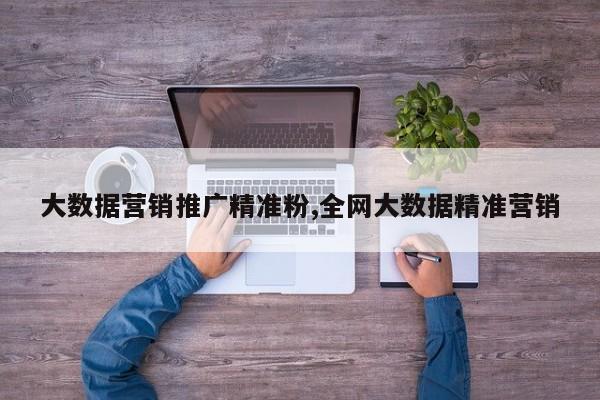大数据营销推广精准粉,全网大数据精准营销